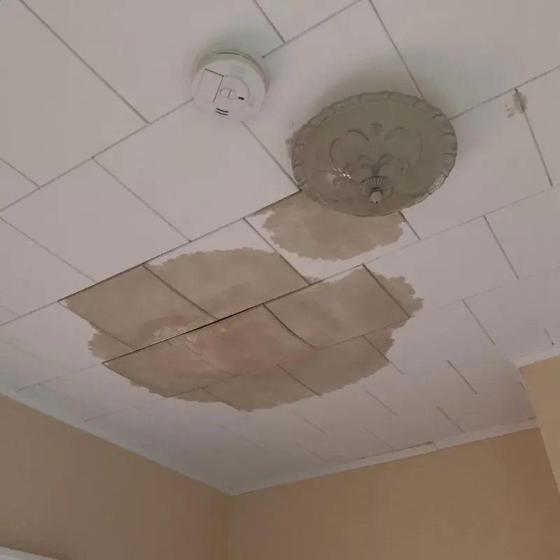 Ceiling Water Damage Repair in Crane, MO