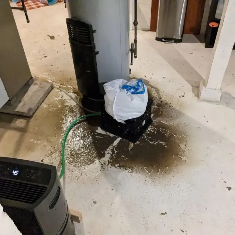 Sewage Backup Cleanup Service in Crane, MO